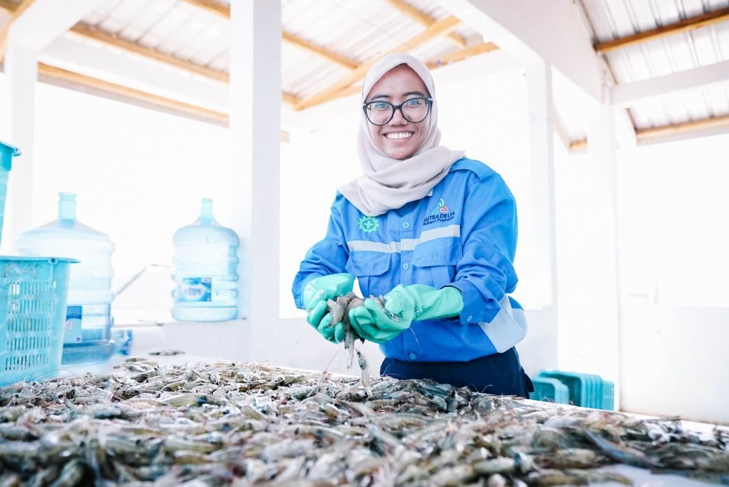 mitradelta bahari pratama image placeholder